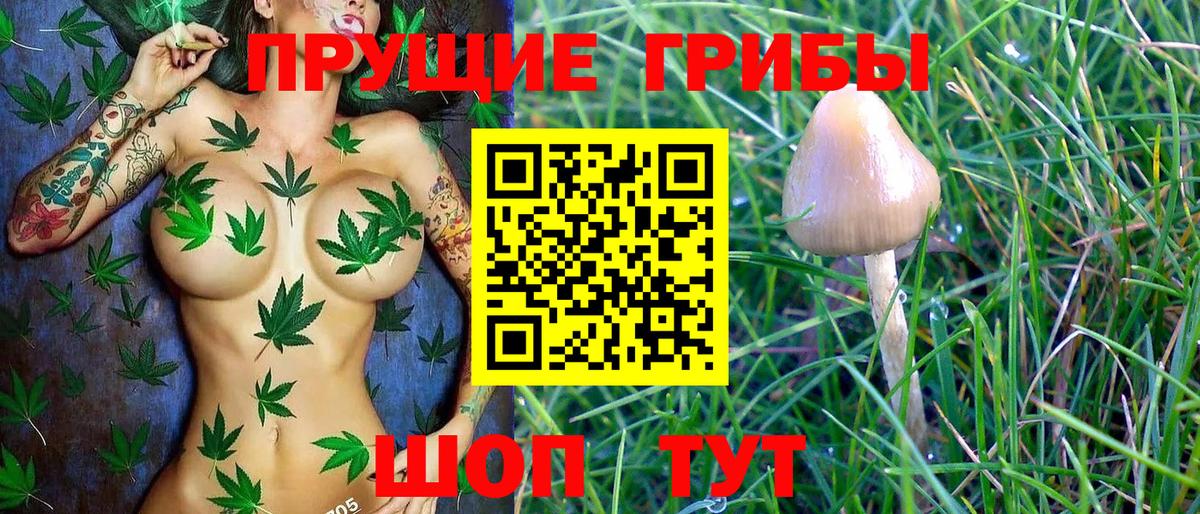 A-PVP СК   ГАШ  Тула  ГАШ  МЕФ   Канабис  Вход с VPN  ЭКСТАЗИ 