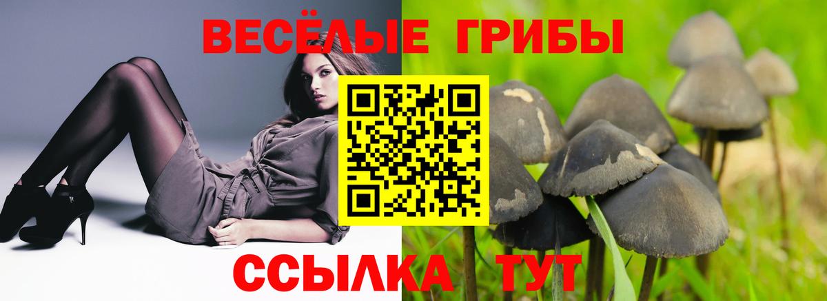 Галлюциногенные грибы мухоморы  Галлюциногенные грибы MAGIC MUSHROOMS  Вход с VPN  Тула 